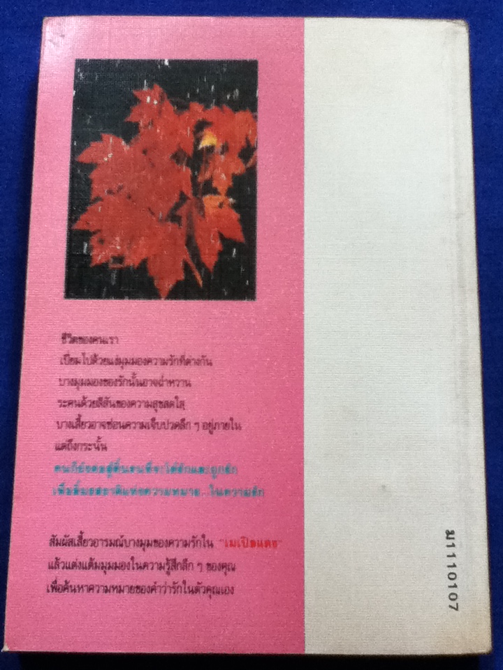 เมเปิลแดง