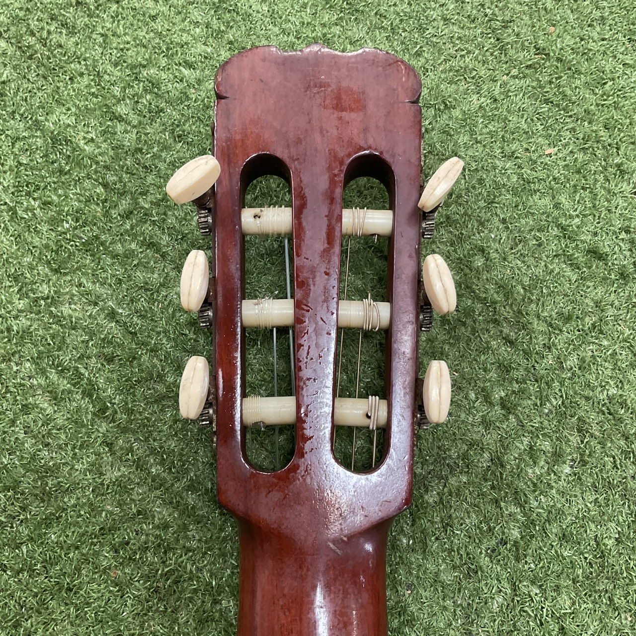 กีต้าร์คลาสสิค SUZUKI : C-10