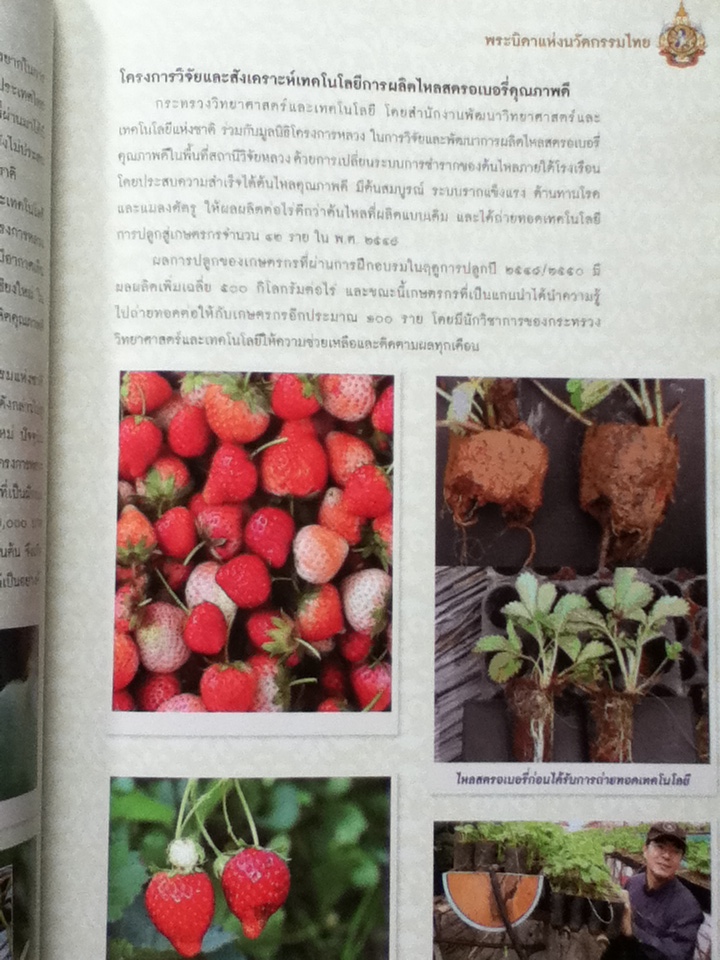 พระบิดาแห่งเทคโนโลยีของไทย พระบิดาแห่งนวัตกรรมไทย