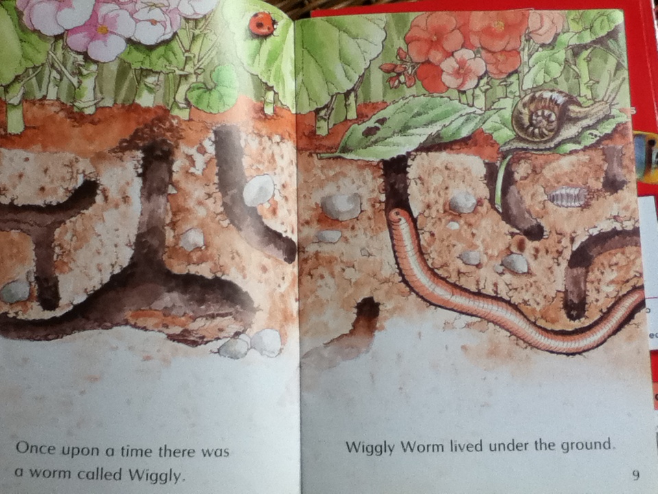 Wiggly Worm และ Splendid Sea Creatures รวม 2 เล่ม