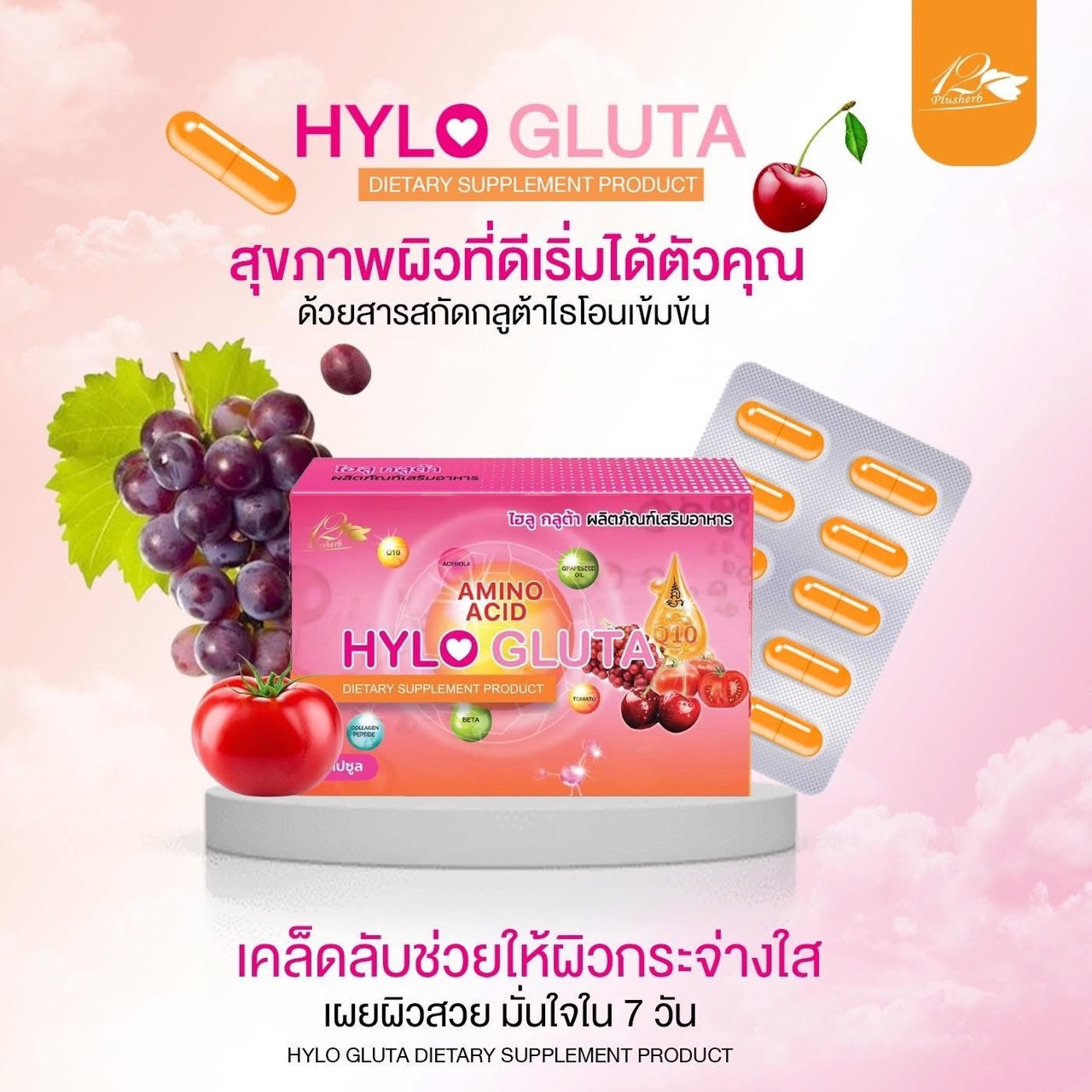 ไฮลูกลูต้า HYLOGLUTA
