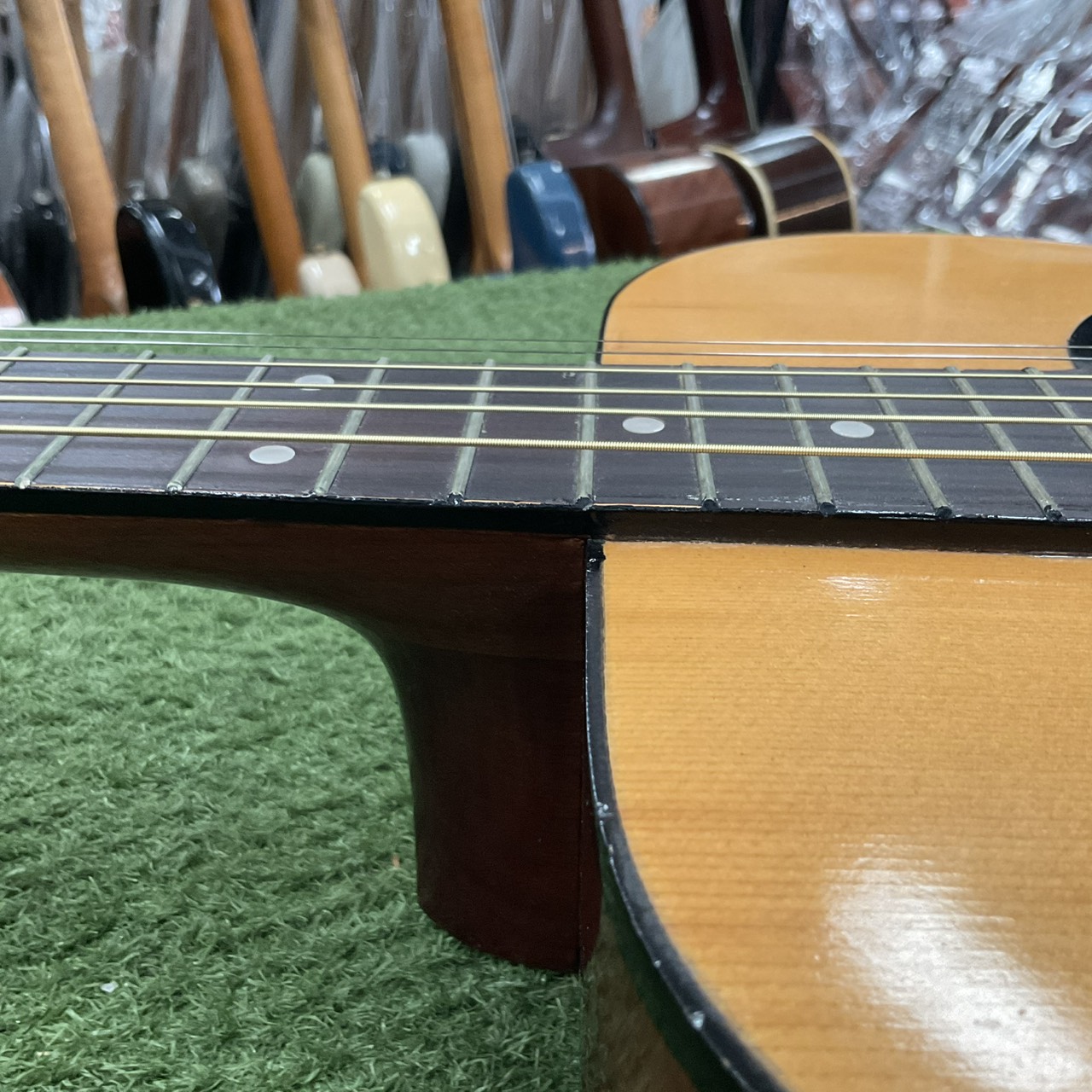 กีต้าร์โปร่ง Great Lake : F-101