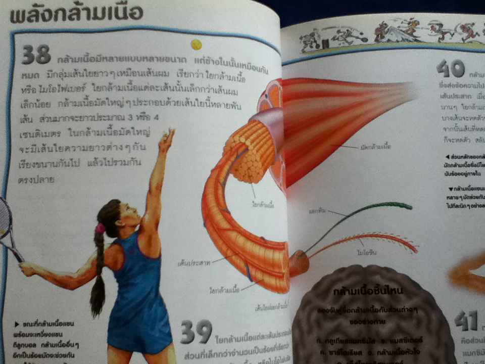 100 เรื่องน่ารู้เกี่ยวกับร่างกายของเรา