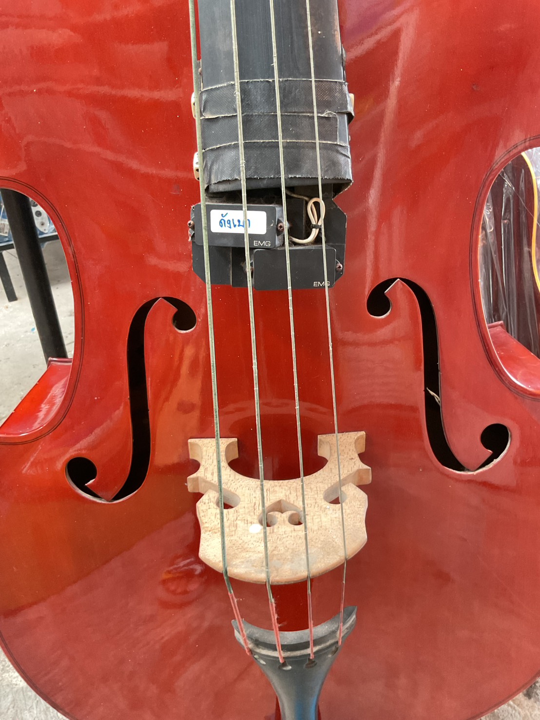 ไวโอลิน Double Bass