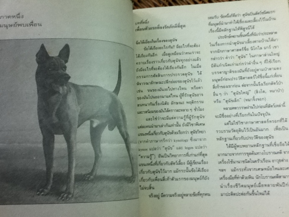 หนังสืออ่านเพิ่มเติมวิชาวิทยาศาสตร์ สัตว์มีประโยชน์/ ยูริ ดมิตริเยฟ
