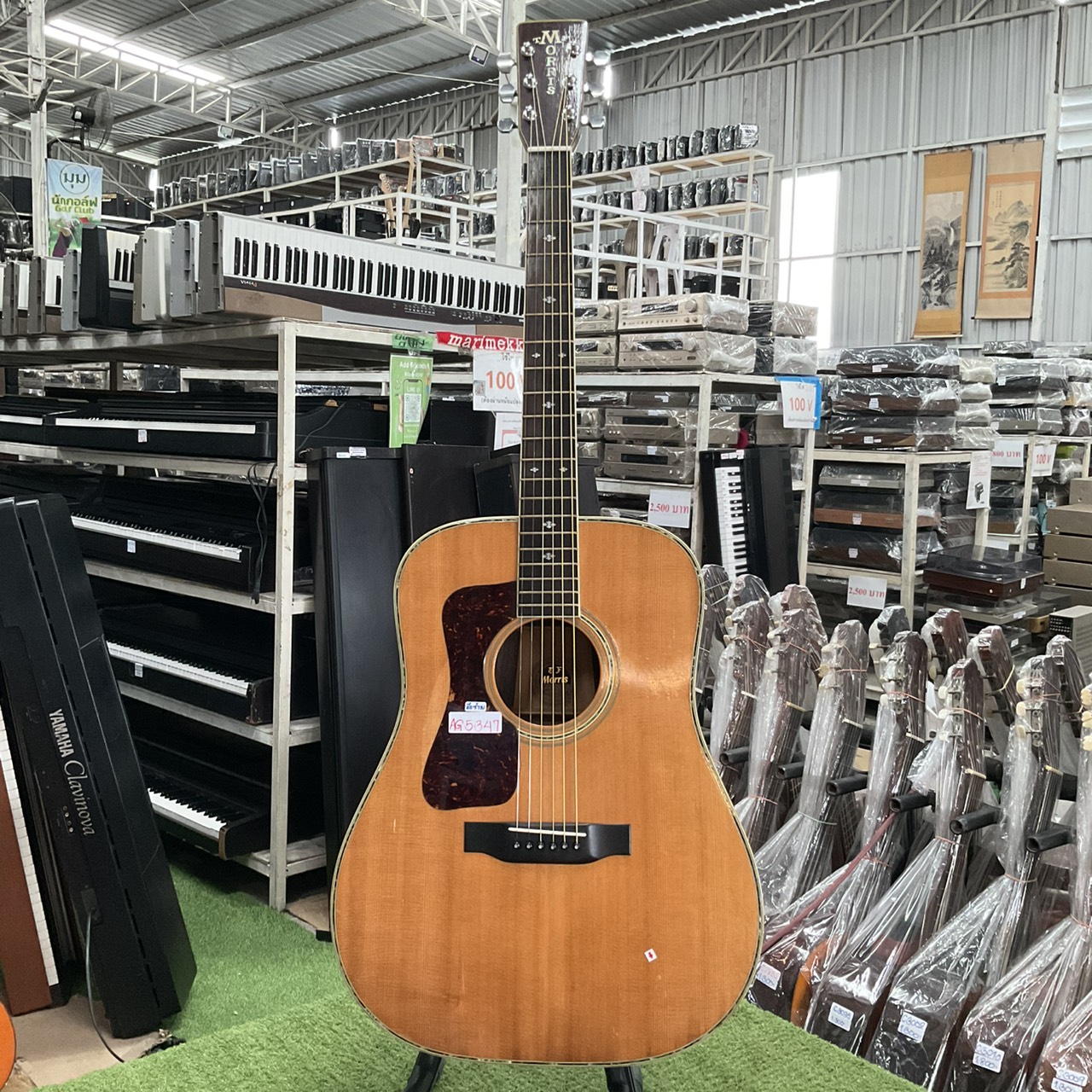 กีต้าร์โปร่ง Morris : W-50 (สำหรับมือซ้าย)