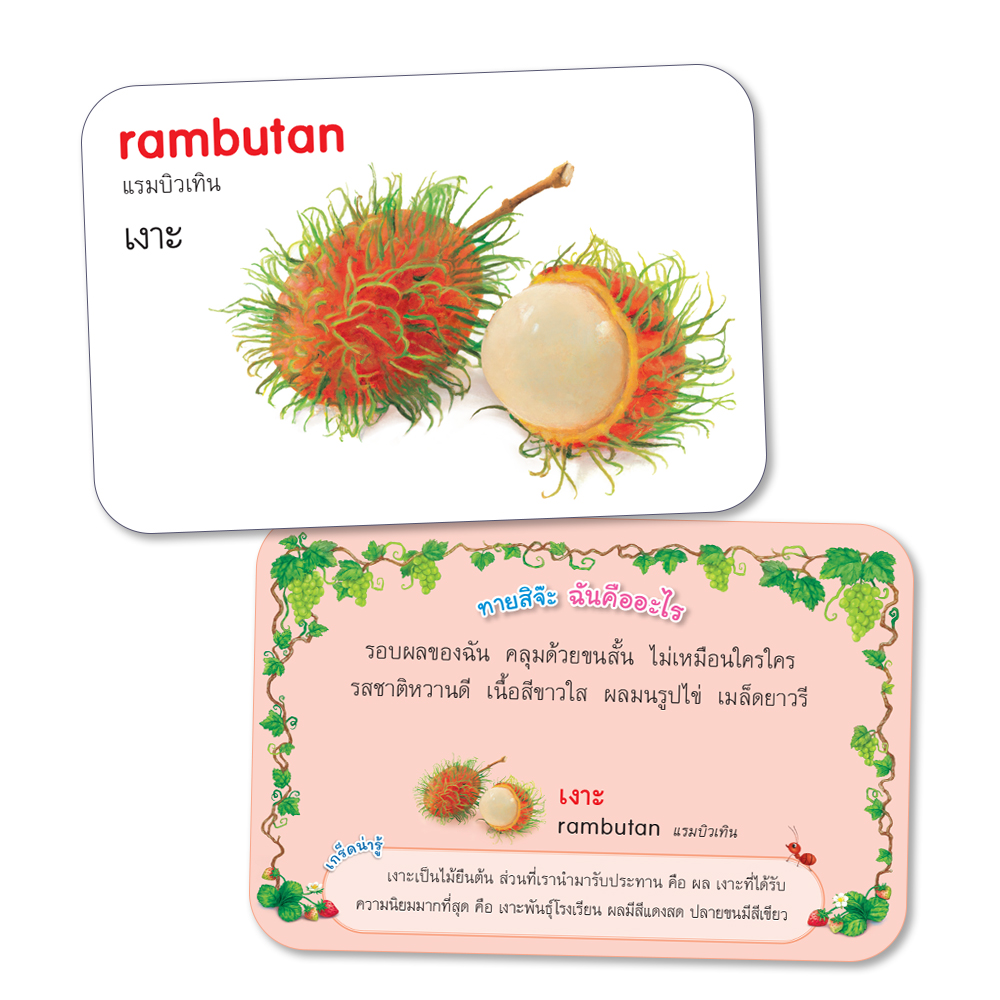 Book World Flash Card สื่อการเรียนรู้ บัตรภาพผลไม้ 2 ภาษา (ไทย-อังกฤษ) พร้อมปริศนาคำทายให้เด็กเล่นทายชื่อผลไม้ NEW