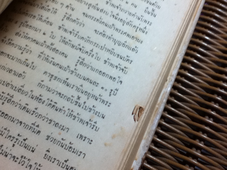 เที่ยวอินเดีย/ สารนาถ