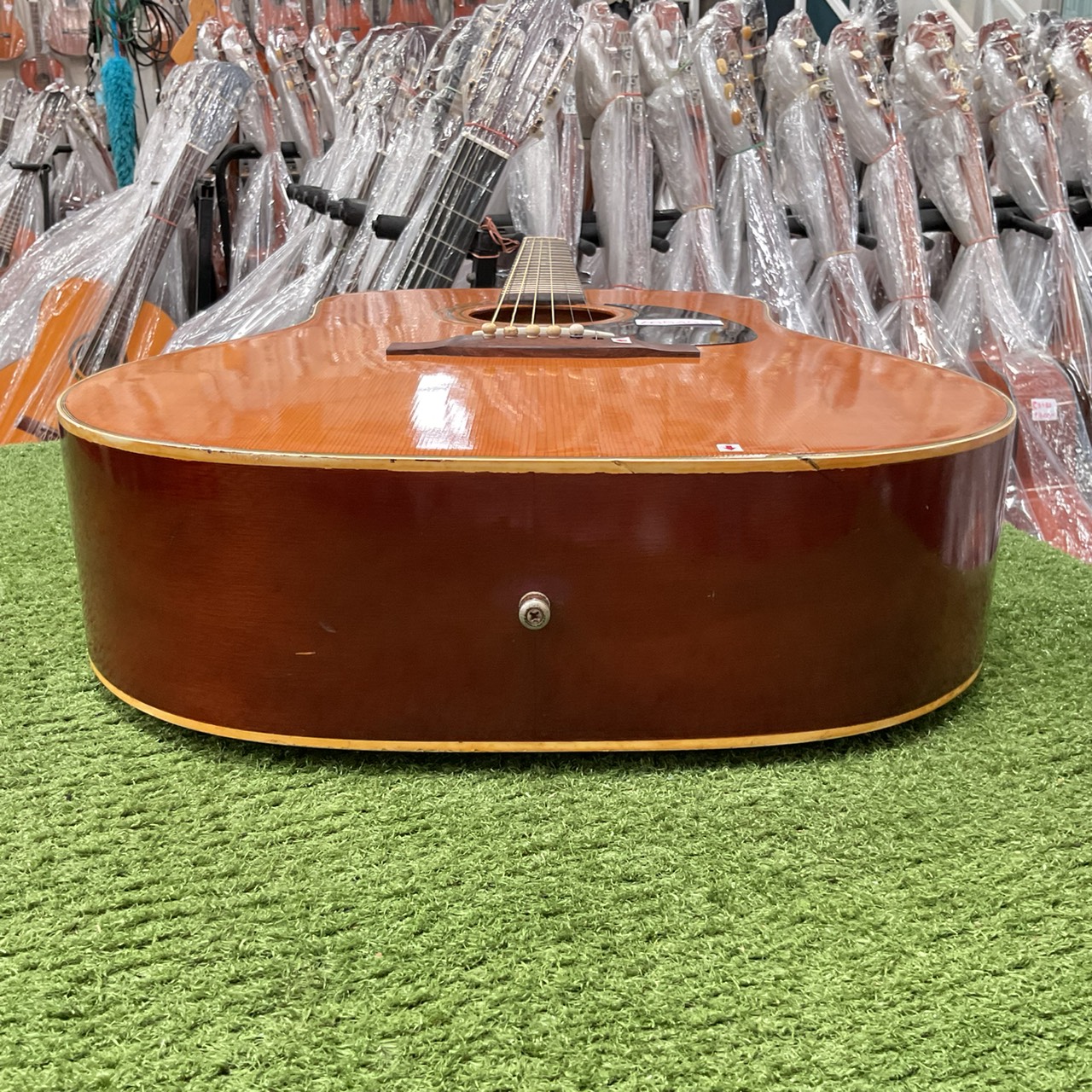 กีต้าร์โปร่ง Phenix : W130