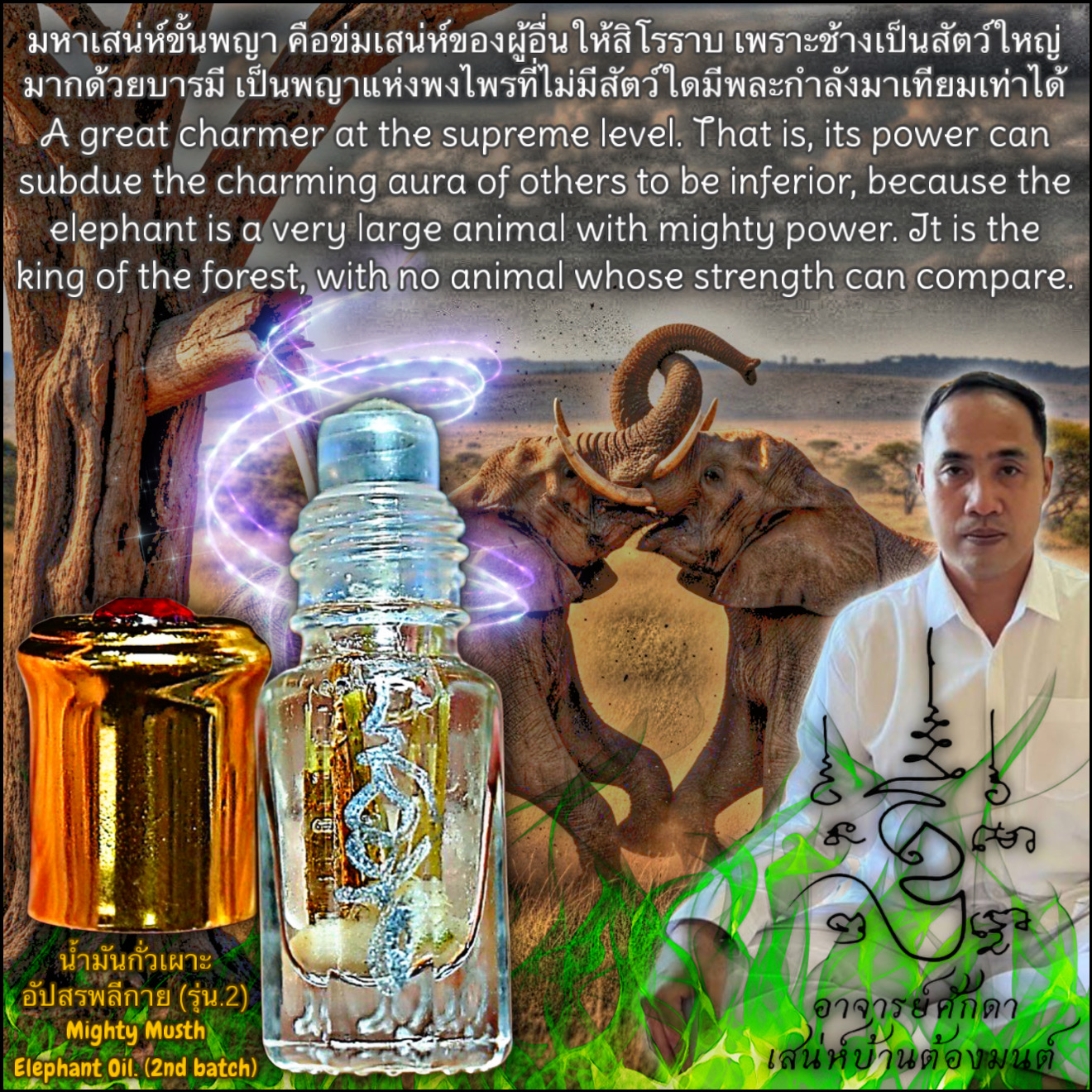 น้ำมันกั่วเผาะอัปสรพลีกาย (รุ่น.2) Mighty Musth Elephant Oil. (2nd batch) SKU-04000