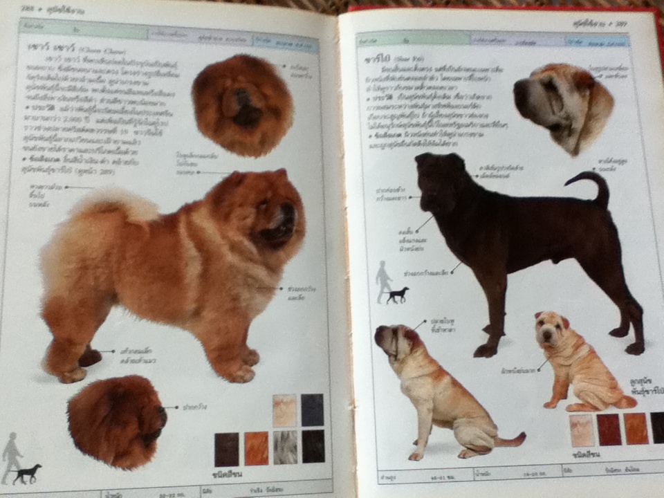 สุนัข คู่มือแนะนำสุนัขพันธุ์ต่างๆ มากกว่า 300 พันธ์ุจากทั่วโลก/ เดวิด อัลเดอตัน
