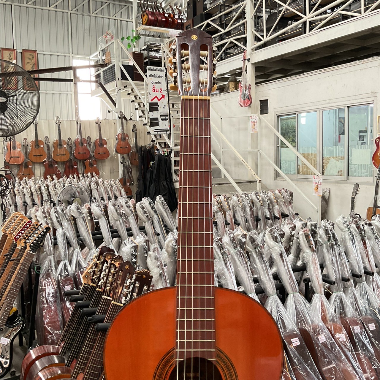 กีต้าร์คลาสสิค YAMAHA : G-70D