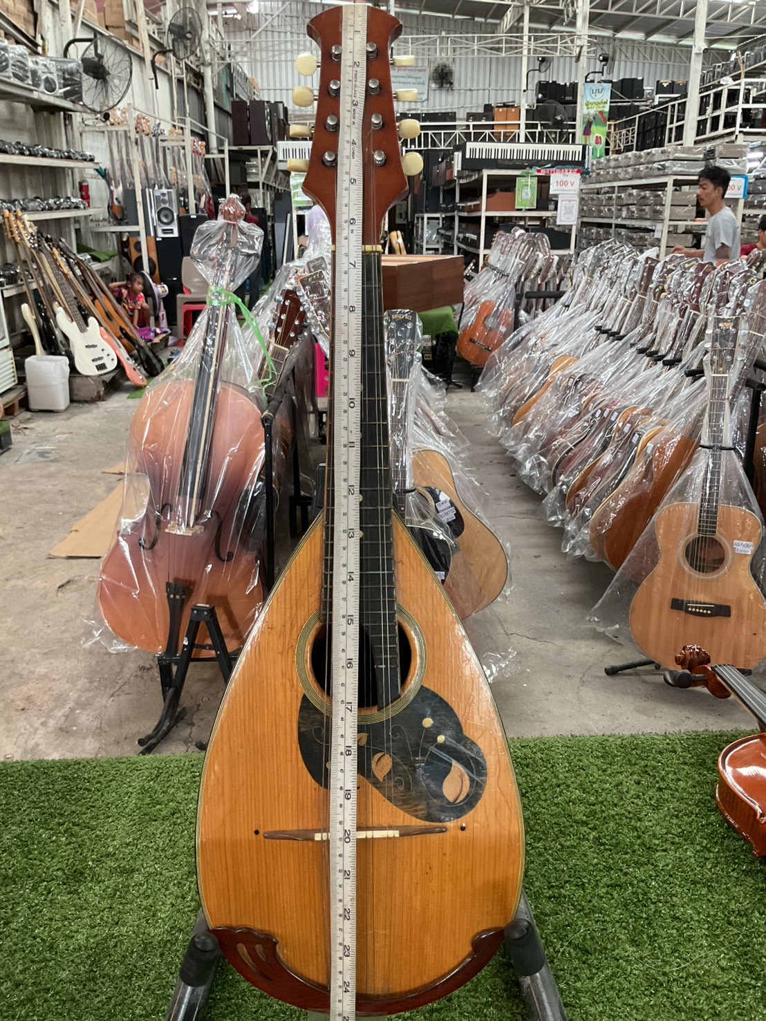 แมนโดลิน Suzuki : No.190