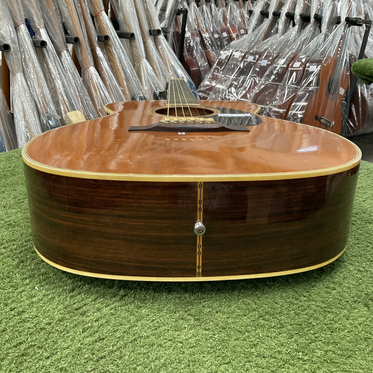 กีต้าร์โปร่ง MORRIS : F15