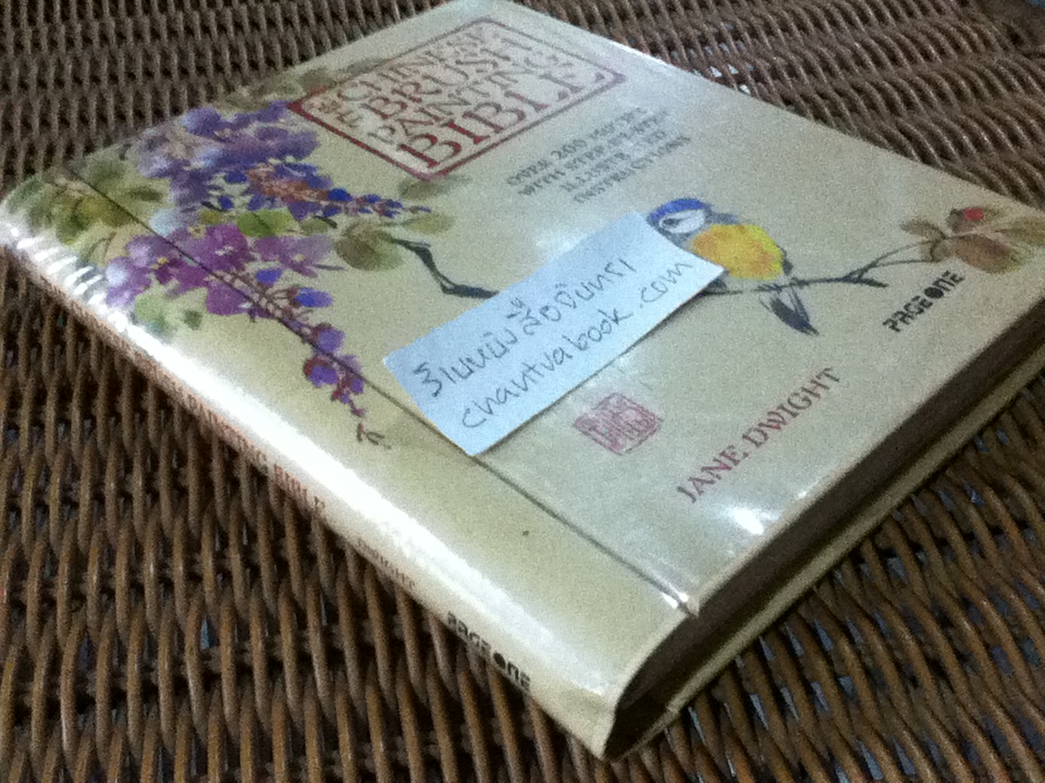 THE CHINESE BRUSH PAINTING BIBLE/ JANE DWIGHT