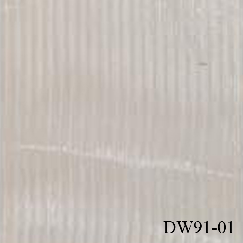 DW91