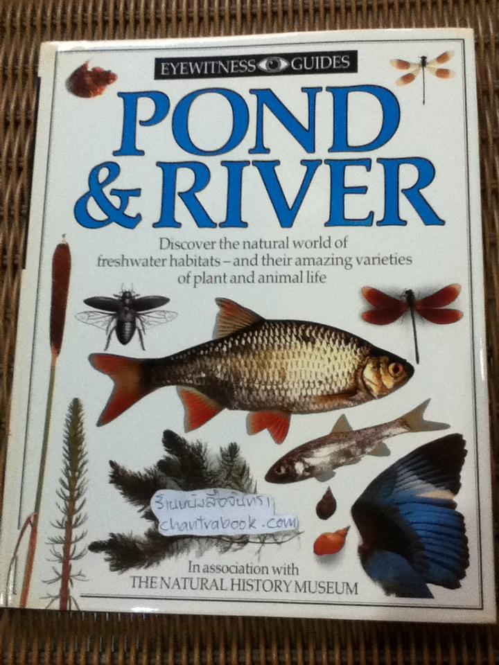 EYEWITNESS GUIDES 9 เล่ม