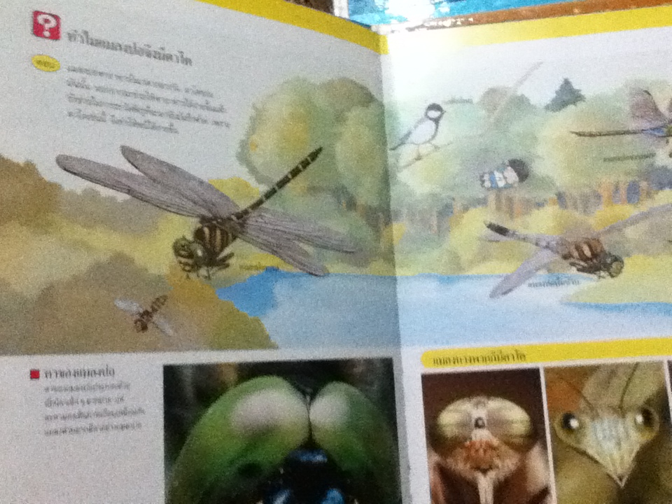 หนังสือชุดความรู้เบื้องต้นสำหรับเด็ก TIME LIFE BOOKS 5 เล่ม