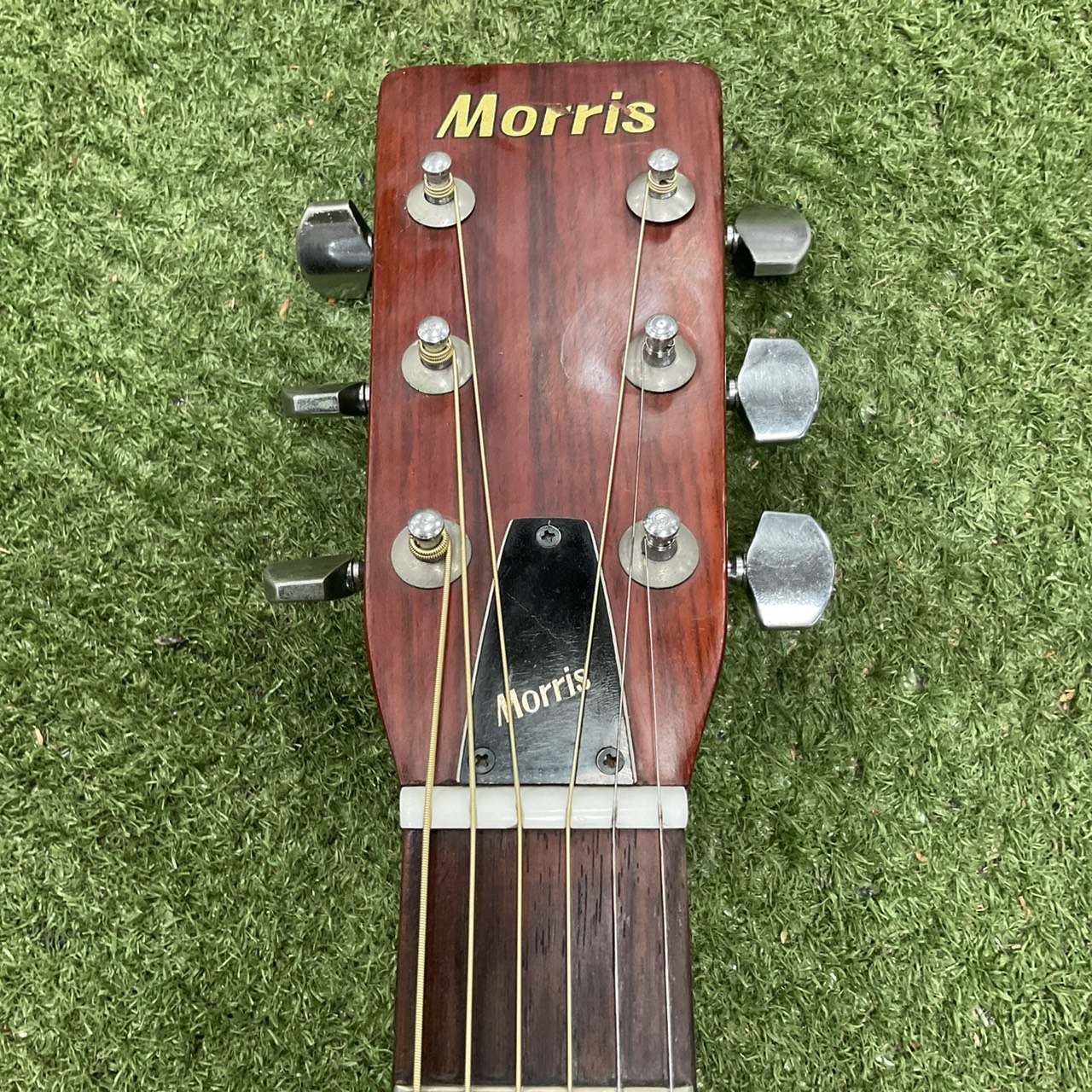 กีต้าร์โปร่ง Morris : W-18