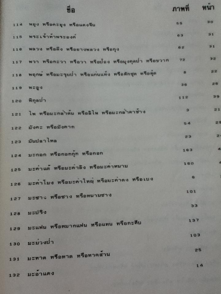 ลักษณะโครงสร้างของไม้และการตรวจพิสูจน์/ ณรงค์ โทณานนท์