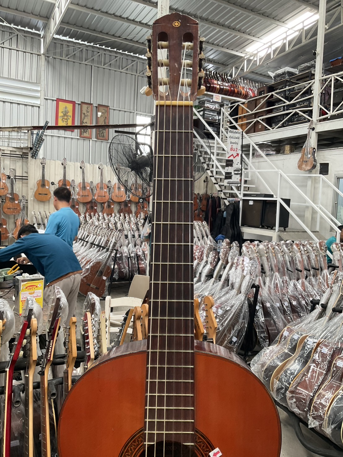 กีต้าร์คลาสสิค YAMAHA : G-100D