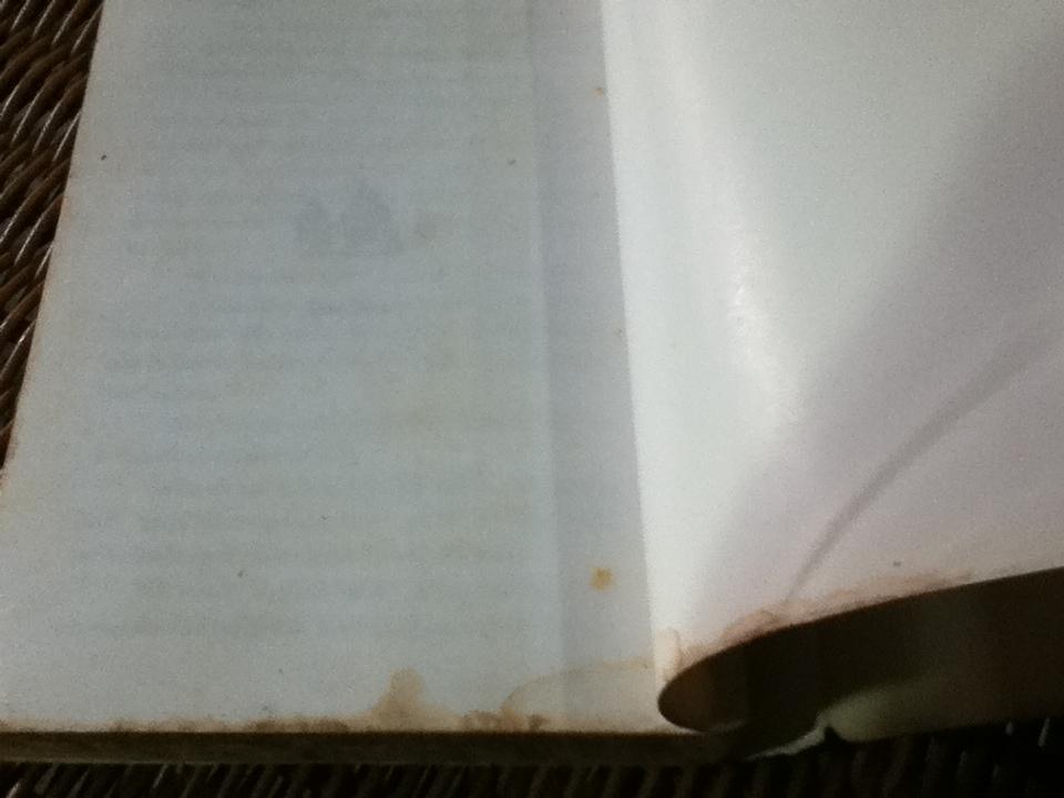 โจรสลัดแห่งตะรุเตา/ ปองพล อดิเรกสาร