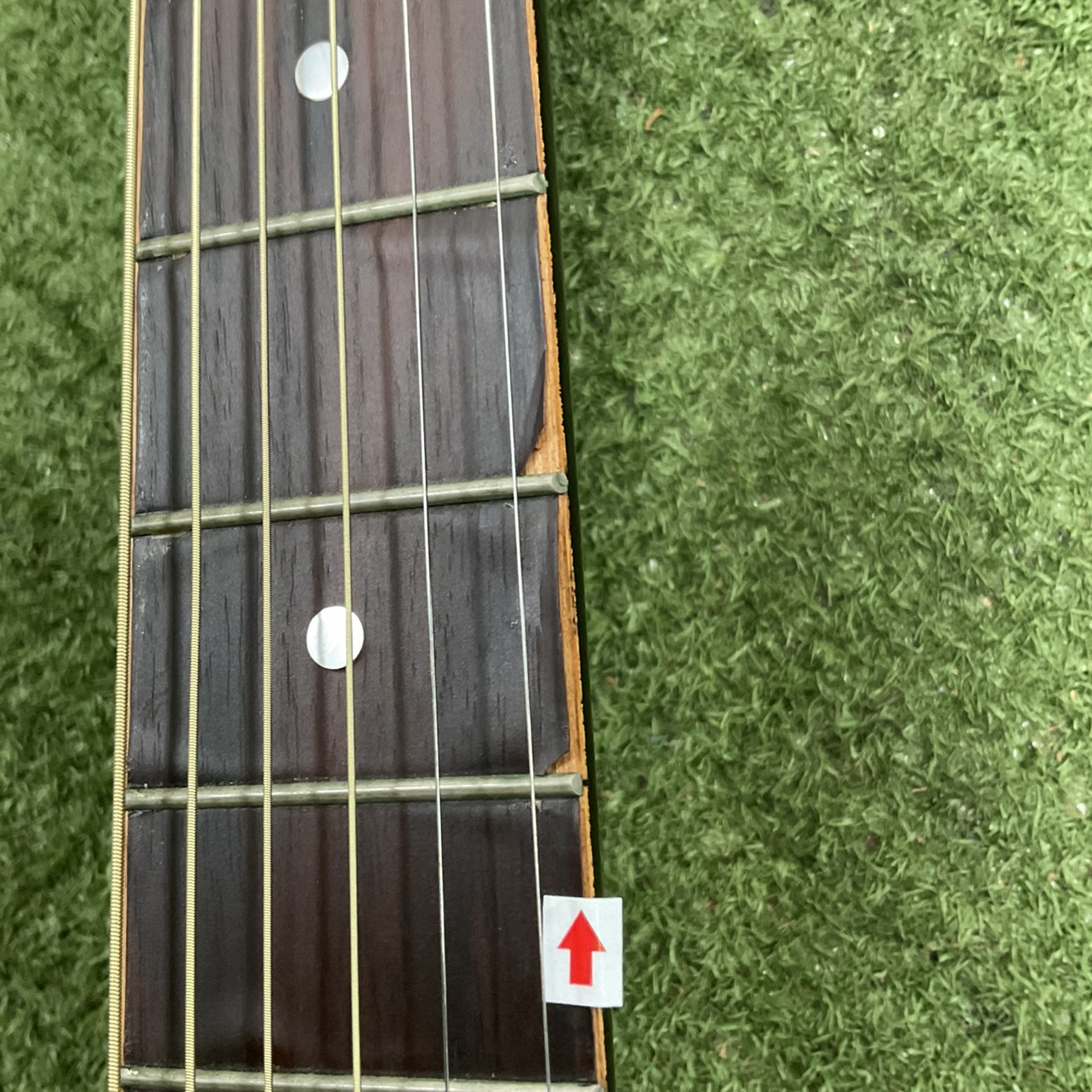 กีต้าร์โปร่ง Great Lake : F-101