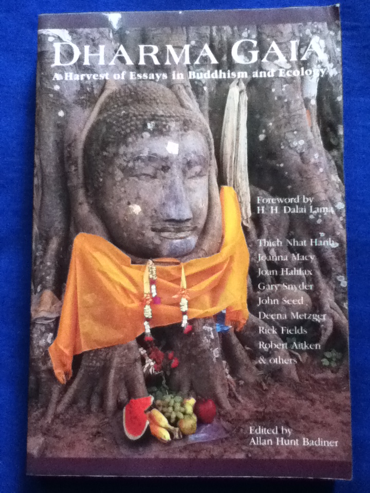 DHARMA GAIA