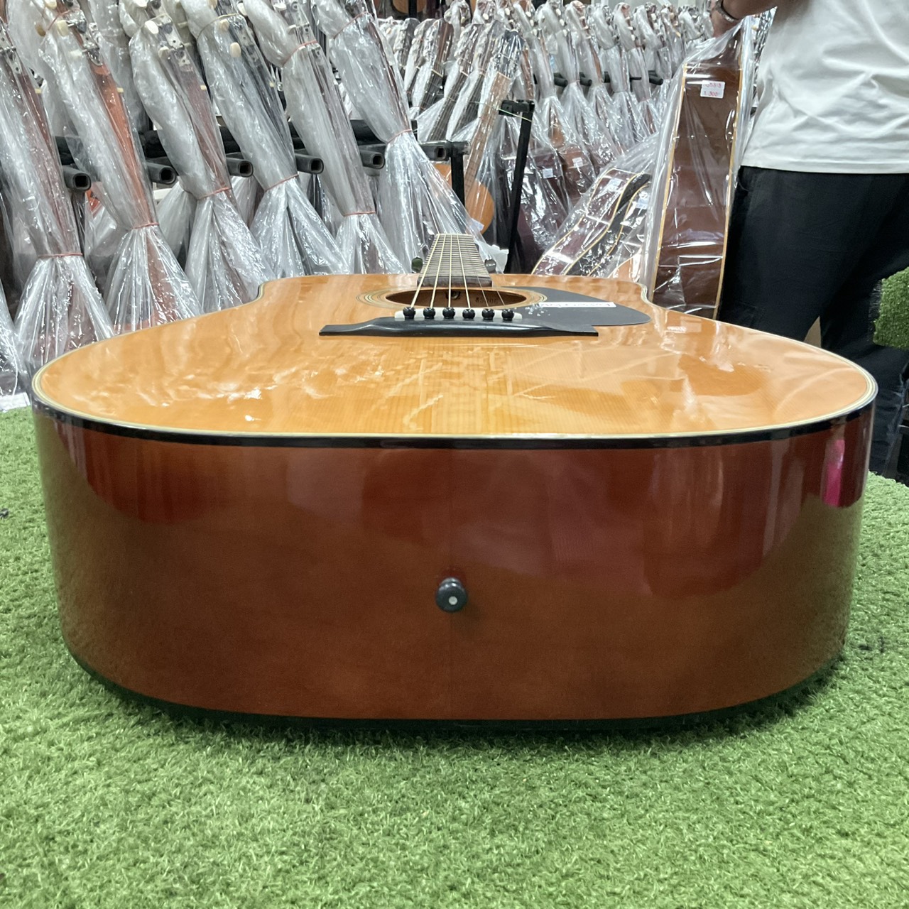 กีต้าร์โปร่ง Morris : MD-501