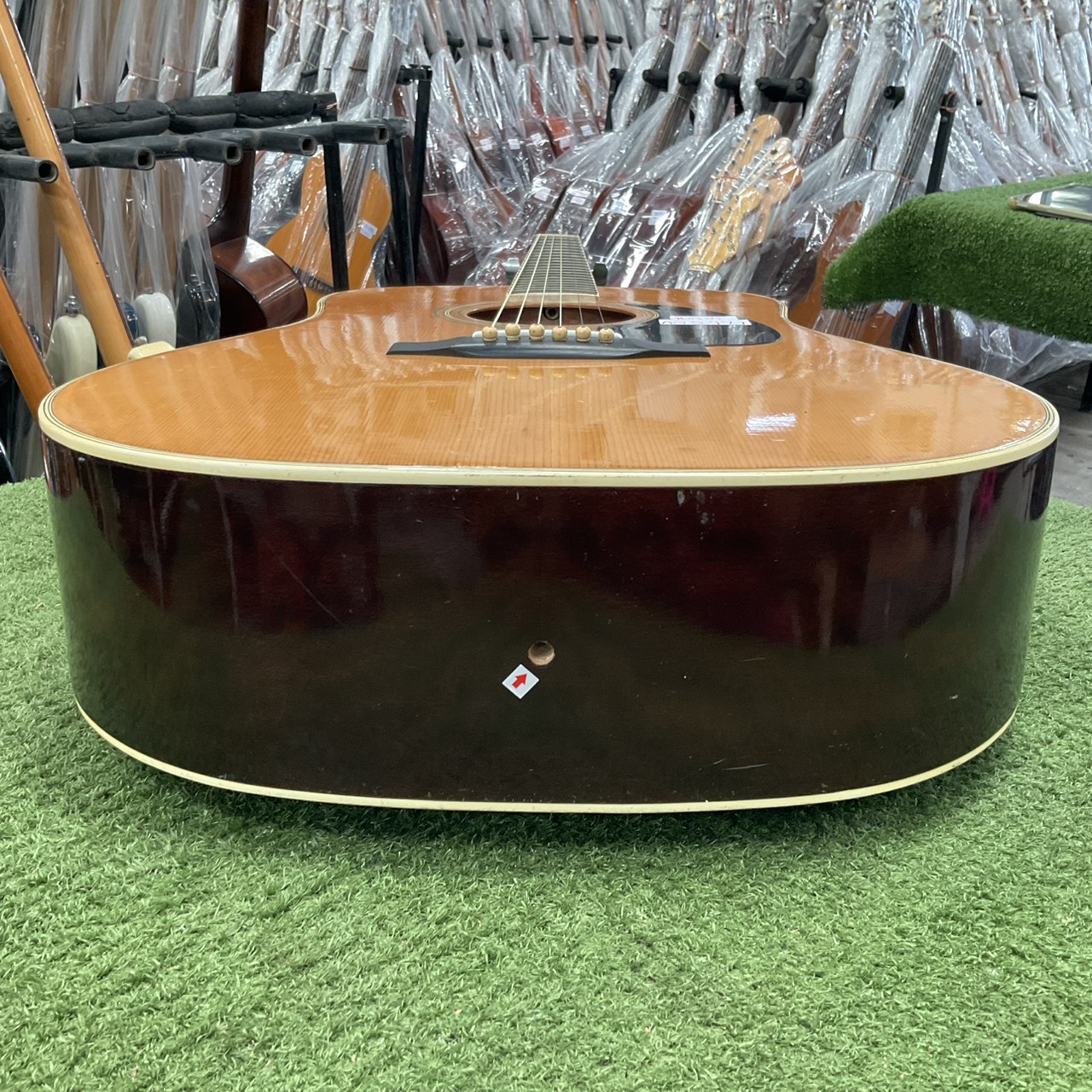 กีต้าร์โปร่ง Morris : W-20