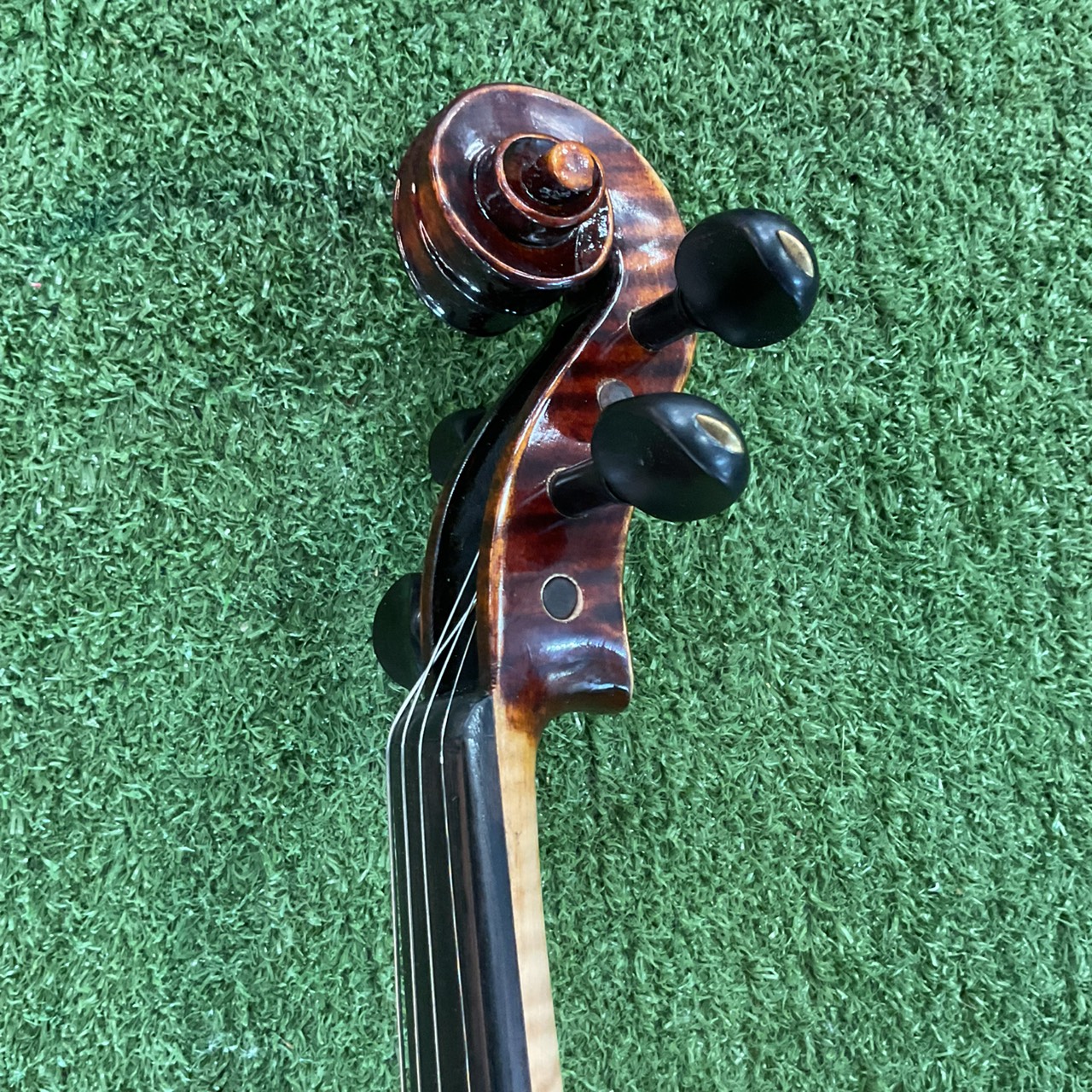 ไวโอลิน Sweet Tone : SV650