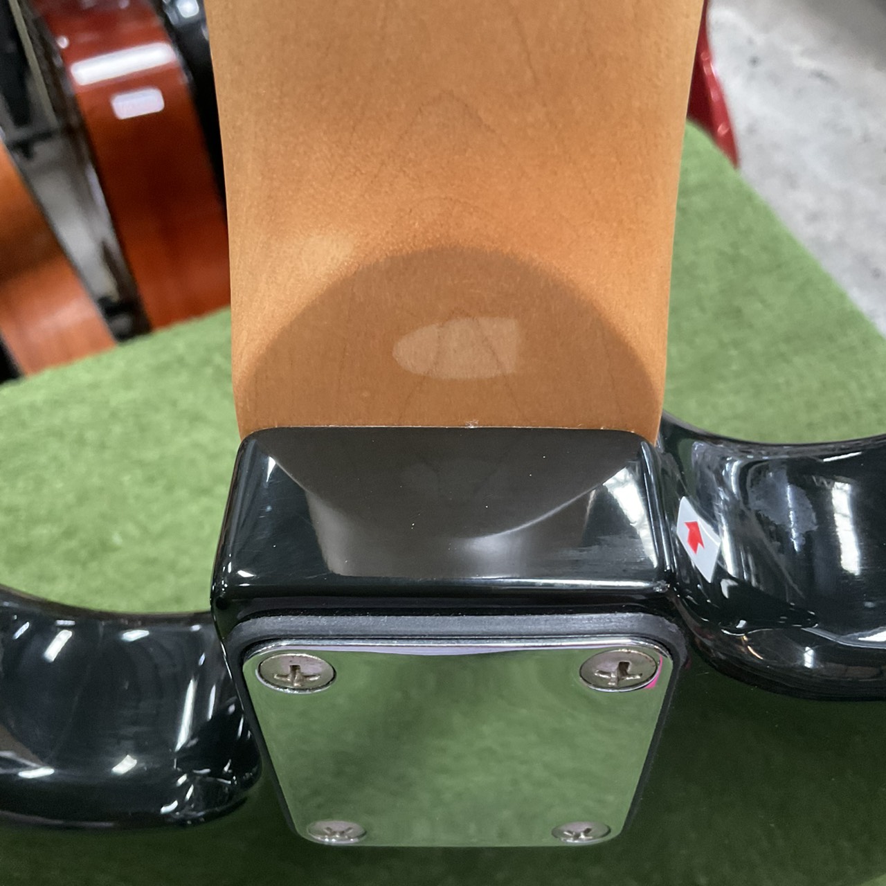 กีต้าร์ไฟฟ้า Bloom