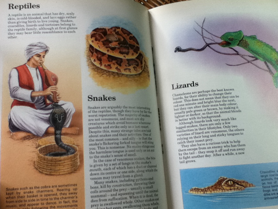 Let me tell you about...LIVING THINGS