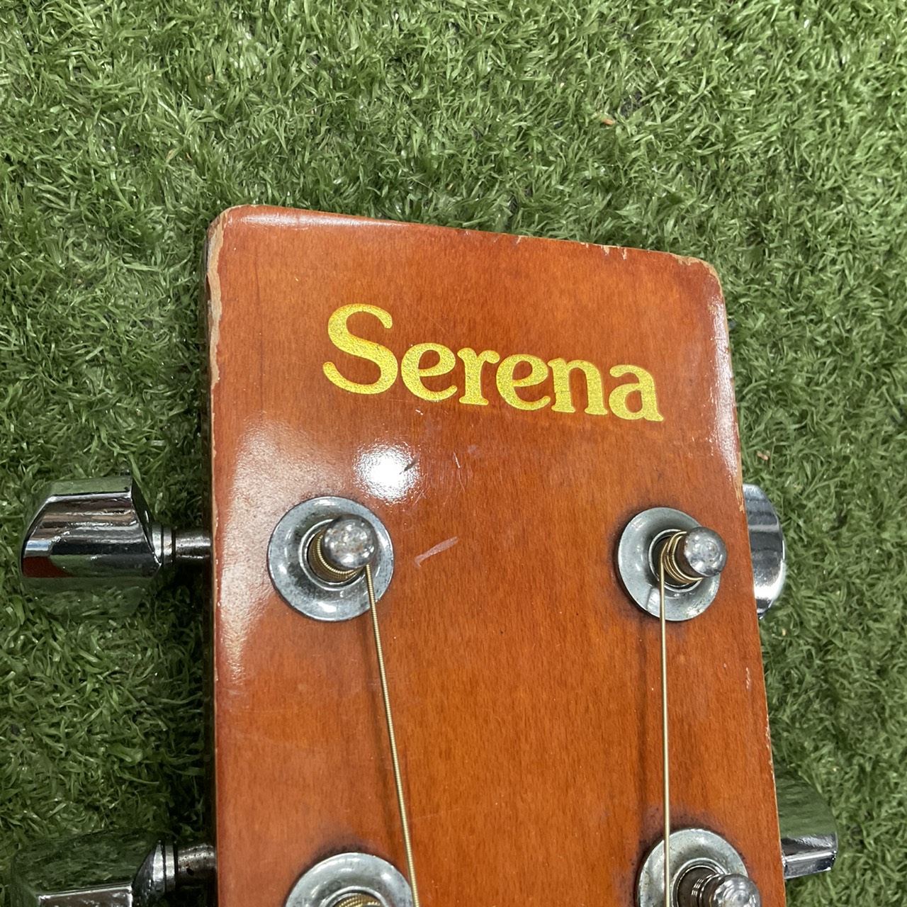 กีต้าร์โปร่ง Serena