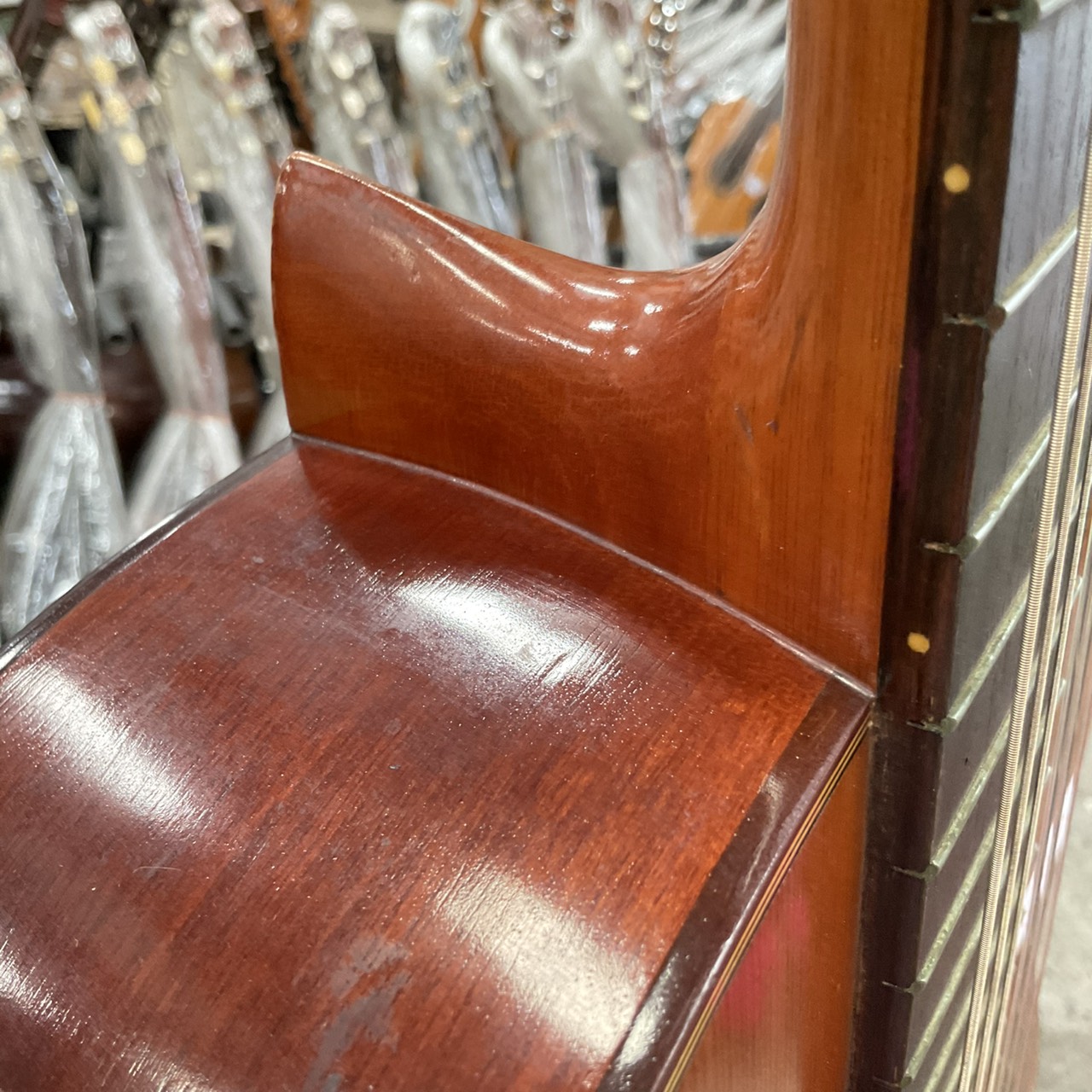 กีต้าร์คลาสสิค SUZUKI : N6