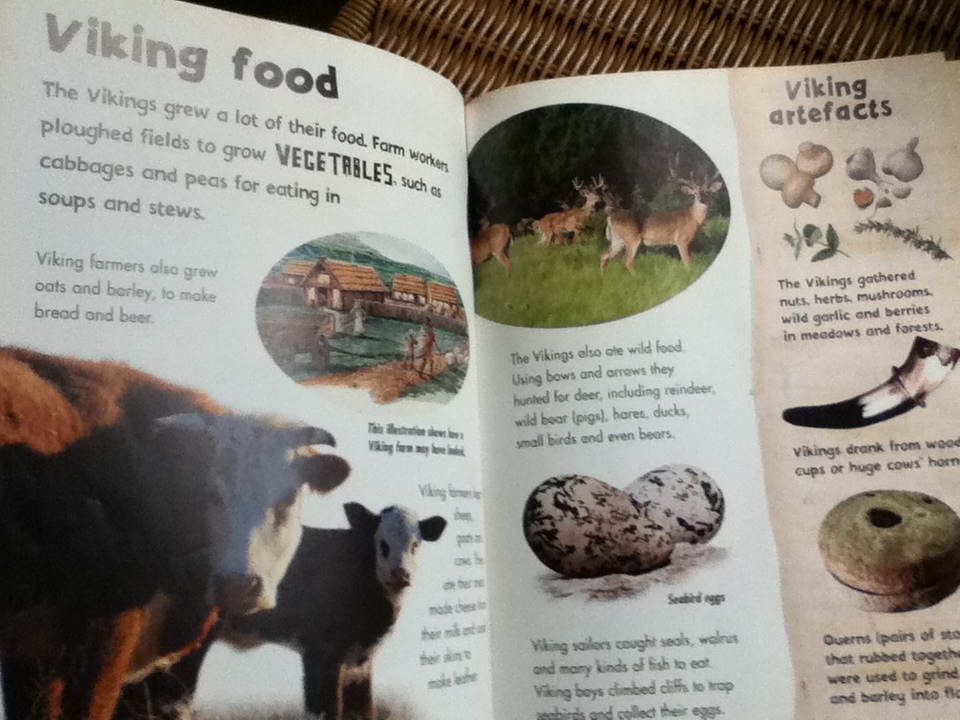 Fergus's Secret, VIKING RAIDERS และ Halibut Jackson รวม 3 เล่ม