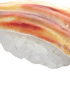 Sushi Plastic Model: Anago 1/1 Plastic Model(Pre-order)