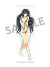 Senran Kagura Slim Wall Scroll vol.2 Ikaruga B(Pre-order)