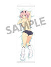 Senran Kagura Slim Wall Scroll vol.2 Hibari B(Pre-order)