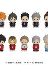 Anime "Haikyuu!!" Pape Mas!! A 10Pack BOX(Pre-order)