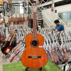 กีต้าร์คลาสสิค YAMAHA : G-85D