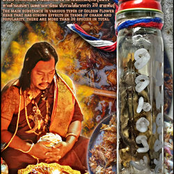 น้ำมันว่านดอกทองเสน่ห์มอญ Charming Raman Golden Flower Oil. SKU-02899