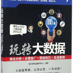 Big Data: Business Analysis, Marketing Promotion, Marketing Skill & Actual Case 玩转大数据:商业分析+运营推广+营销技巧+实战案例