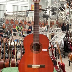 กีต้าร์คลาสสิค YAMAHA : C-100D