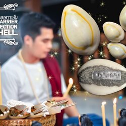 เบี้ยแก้มหาสะท้อนมหาระงับ Guardian Barrier Great Reflection Magic Shell SKU-02698