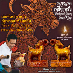 พญาแพะเหลียวหลัง (ไม้ขนุนตายพราย) Backward-Gazing Goat King. (dead-standing jackfruit wood) SKU-04002