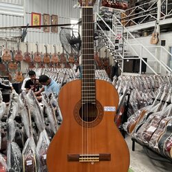 กีต้าร์คลาสสิค SUZUKI : No.60