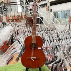 กีต้าร์คลาสสิค Abe Gut : 65F