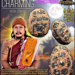 เบี้ยเสน่ห์จันทร์ Charming Moon Cowrie SKU-02929