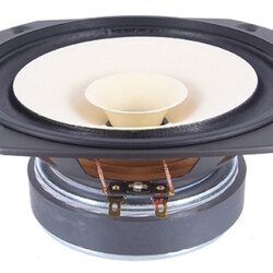 Fostex FE166En 6.5" full range